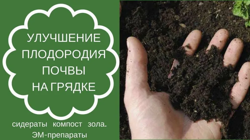 Биогомус Чернозем Унверсал Оптом