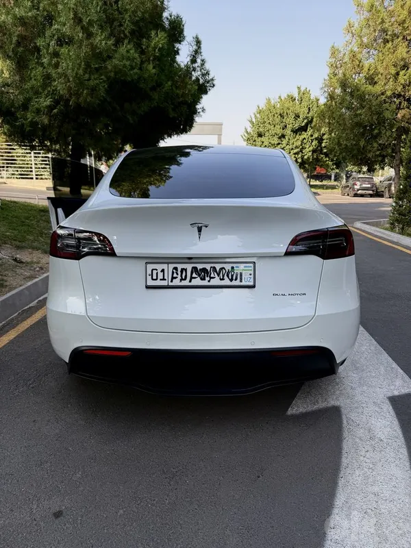 Tesla model Y dual Tesla model Y dual