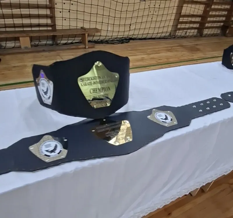 Кубок, Медаль, Чемпионлик камар,Диплом 1 Кубок, Медаль, Чемпионлик камар,Диплом 1