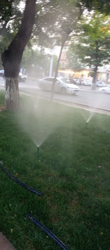 Gazon ekamiz daraxt kuzaymiz 2