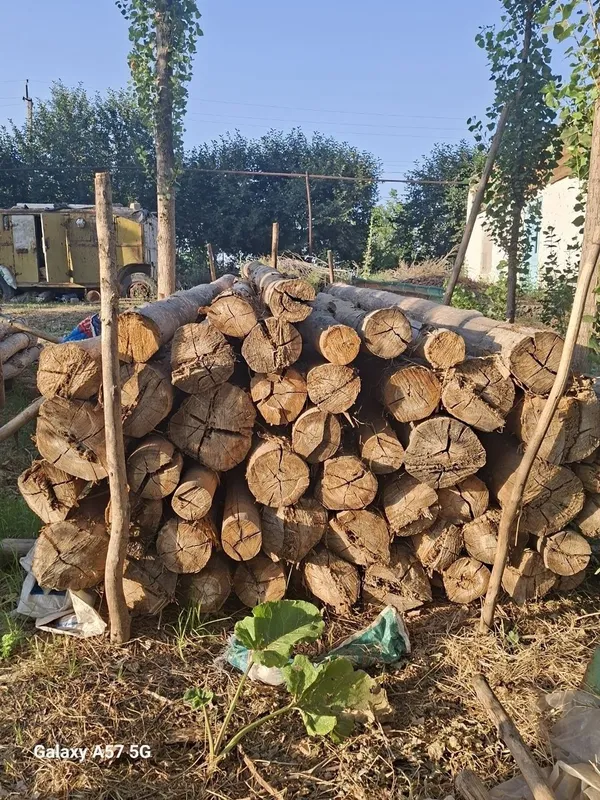 Teraklar sotiladi 8 Teraklar sotiladi 8