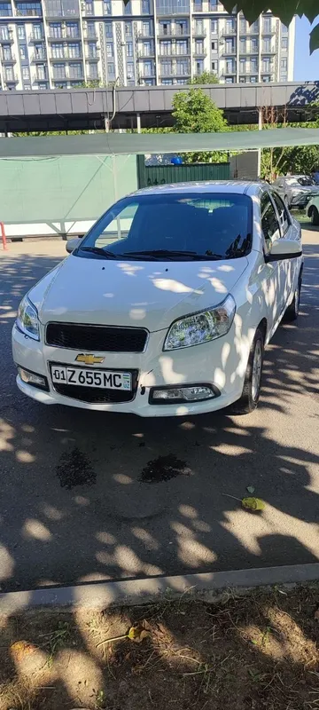 Arenda Nexia 3 yili 2019 prabek 218 min