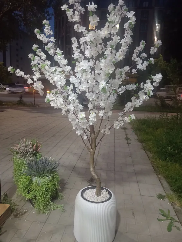 Suniy gullar va daraxtlar. Prokat — фото 4