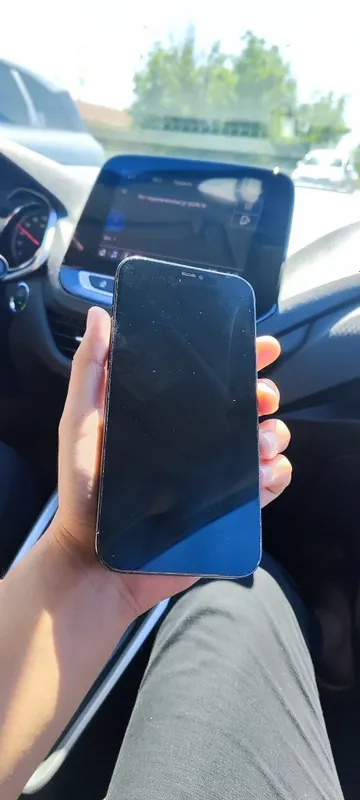 iPhone 12 pro max 256gb
