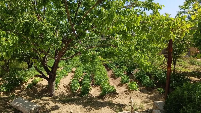 Zarafshon shahrida Miraj 2 da hovli sotiladi — фото 5