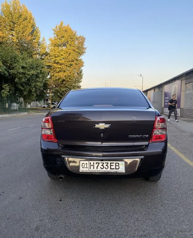 Cobalt 2019 choko 3 Cobalt 2019 choko 3