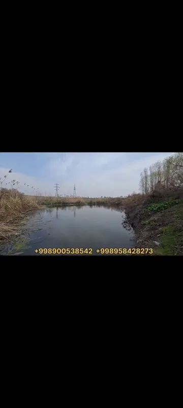 Tashkent viloyati boka tumani