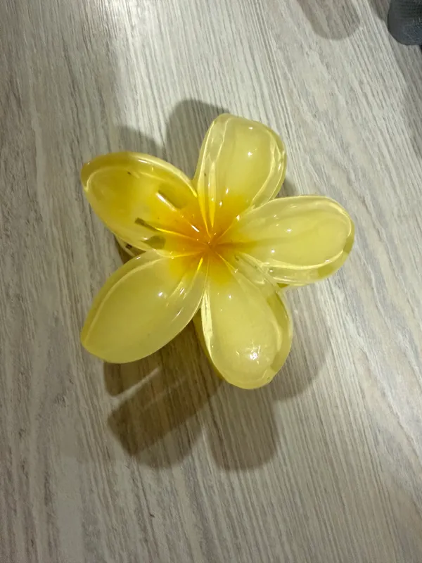 Заколка Заколка
