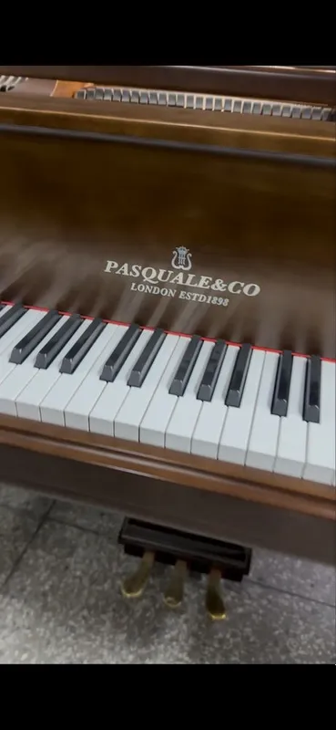 рояль Pasquale i co 4
