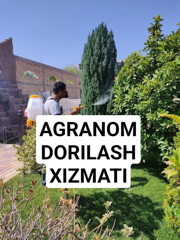 Daraxt kesish abrezka dorilash