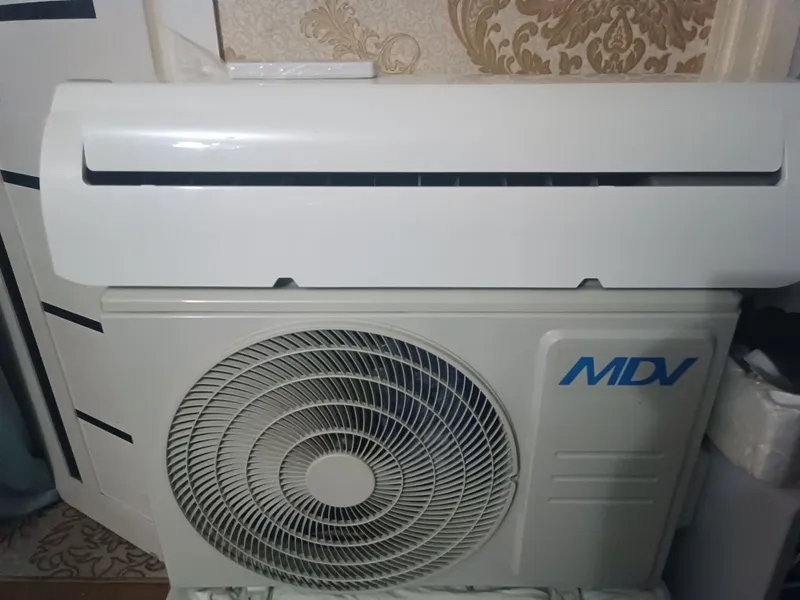 Mdv kandisaner 12 tali ideal sastaynada