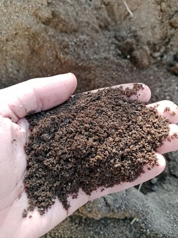 Biogomus kafolati 100%