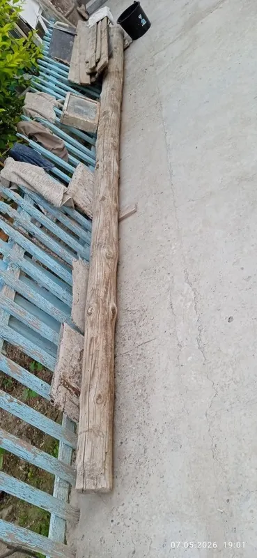 Tezda sotiladi .Har xil uzunlikdagi bolor va qalamalar sotiladi.(Buxo 1