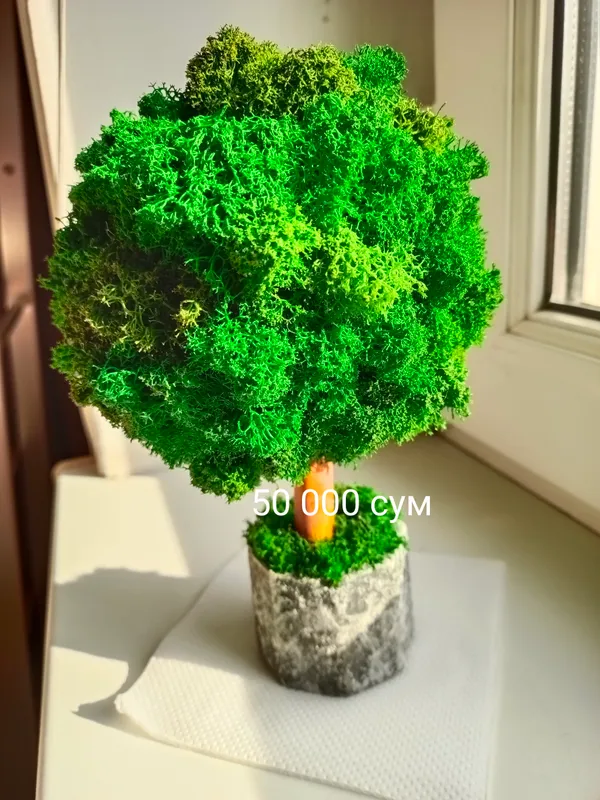 продам мох декоративный