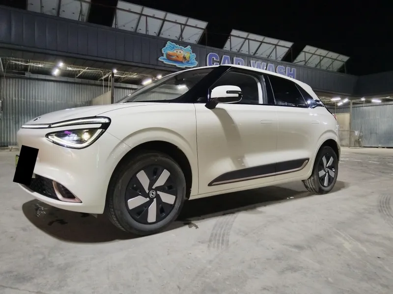 Dongfeng nammi 01 2