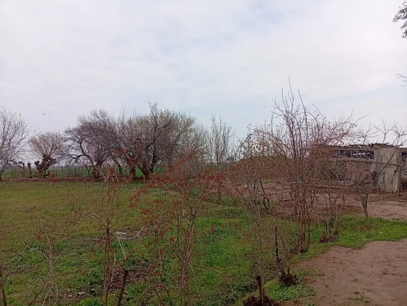 7 hona uy 23 sotix erli hovli sotiladi — фото 6