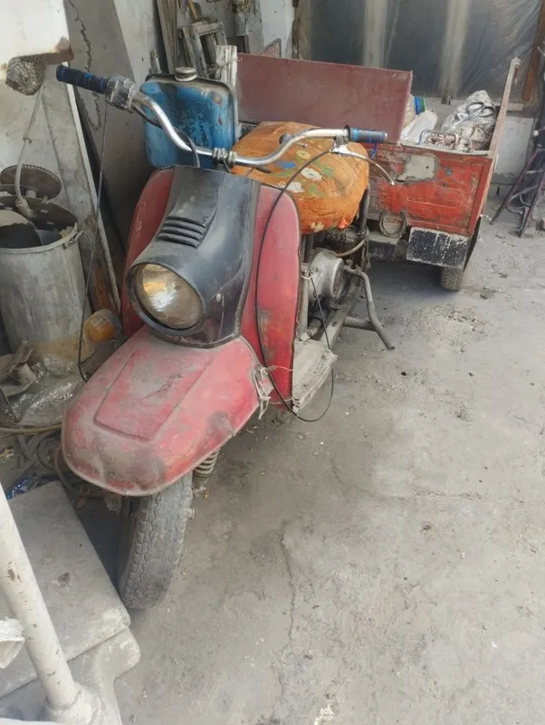 Muravey rabóchiy 2