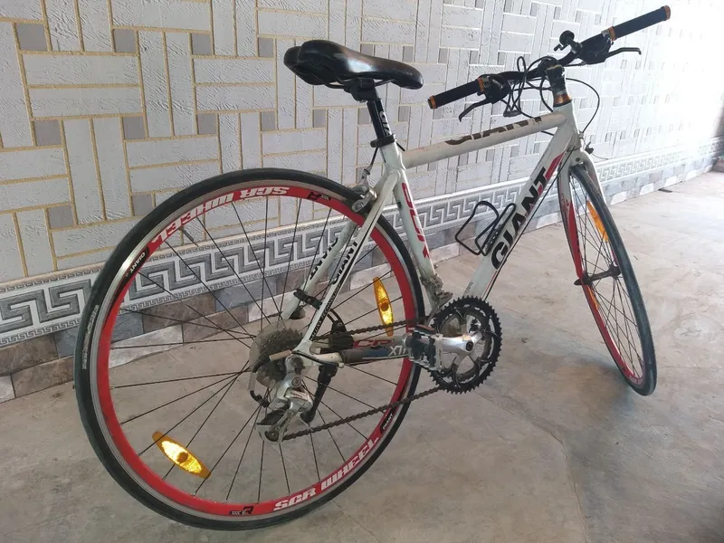 Velosiped GIANT (sporting. professional) — фото 1
