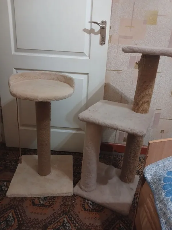 Продаётся Когтетоточки