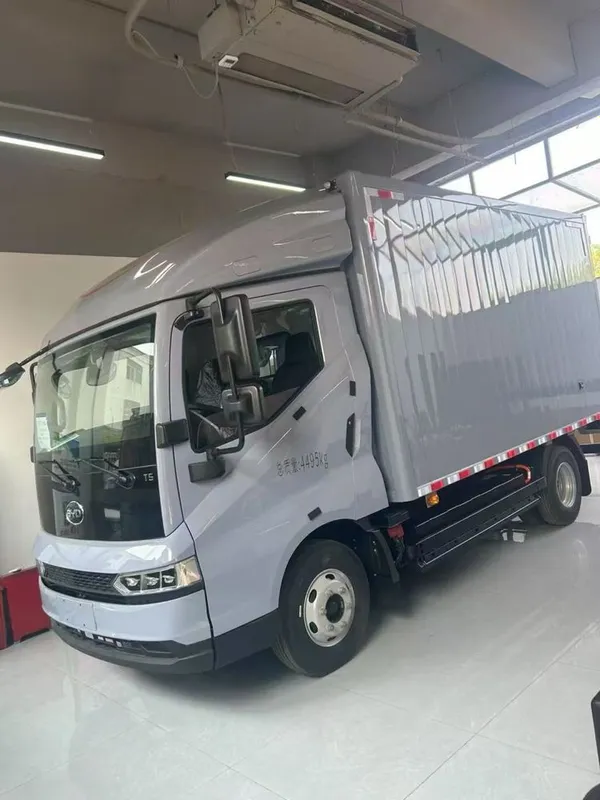 Byd T5 электрическая версия если из холодильника рефрижератором 132 кв