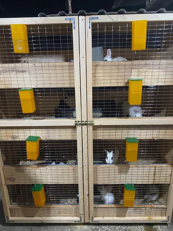 Quyonlar uchun katak sotiladi