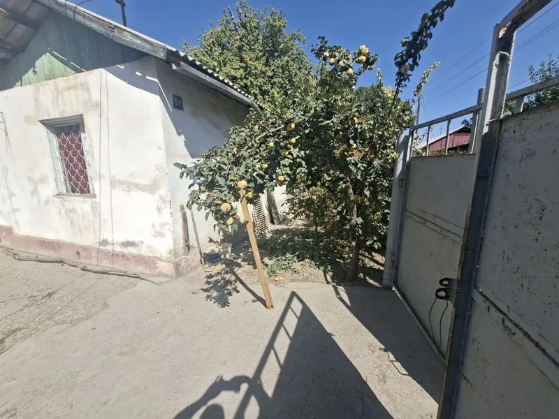 Продается дача янгиюль — фото 1