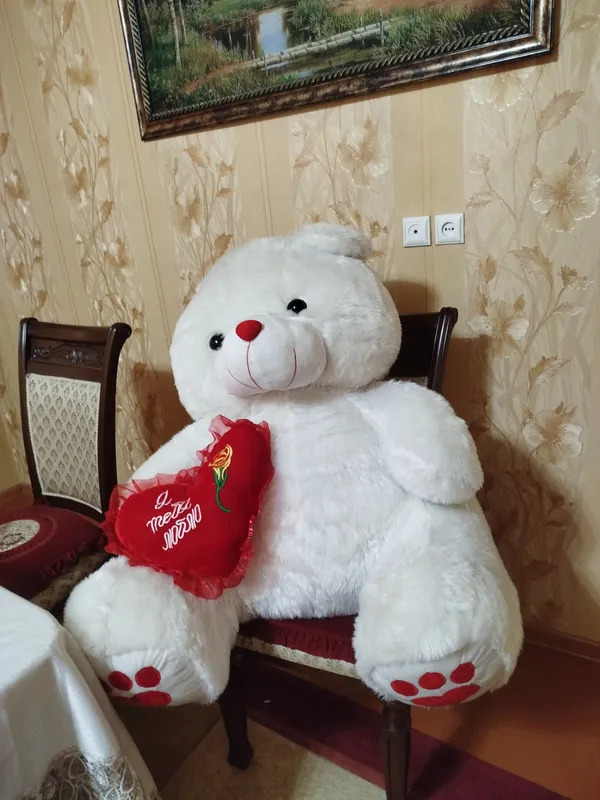 Kotta ayiqcha 1.5 metr 2