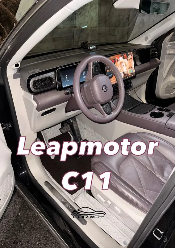 9D polik / коврики для Leapmotor C11