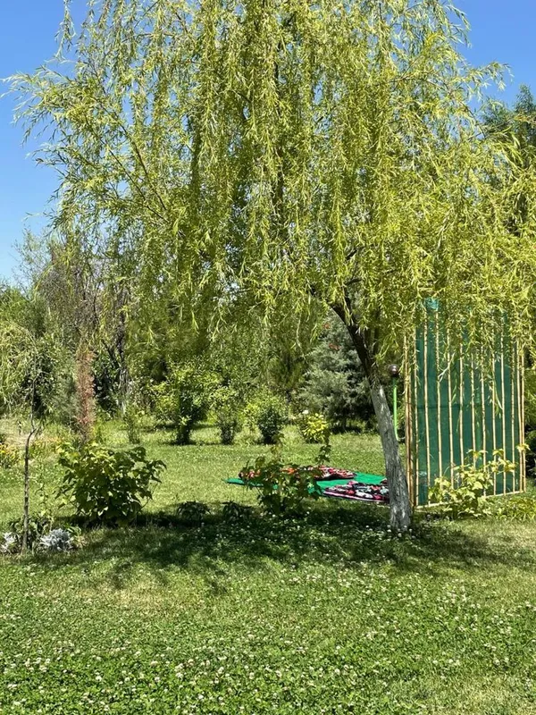 Дача Самарканд | дача АНХОР | dacha samarkand | dacha | Anxor — фото 3