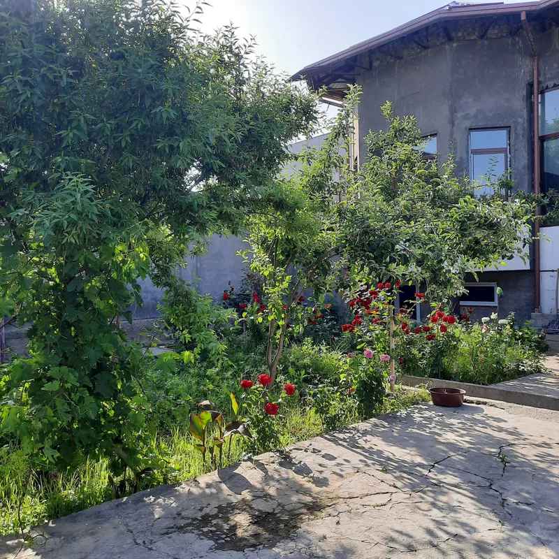 Ховли сотилади 6 сотих Бордонкул Шафоат куча 43 — фото 8