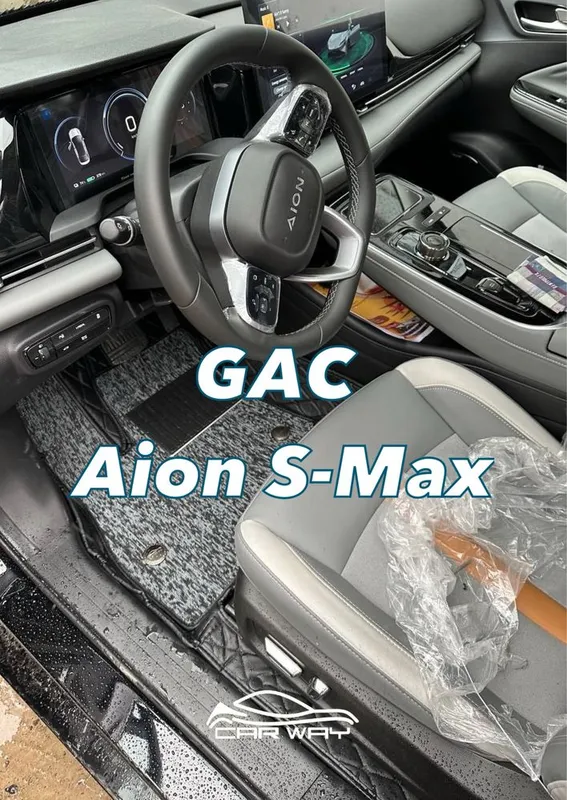 9D polik / коврики для GAC Aion S Max