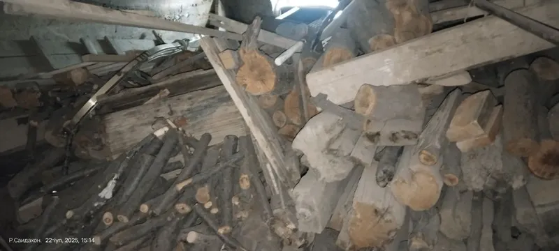 Oʻtin bor arzonga beramiz bemanlol xammasi 1moshina liq toladi