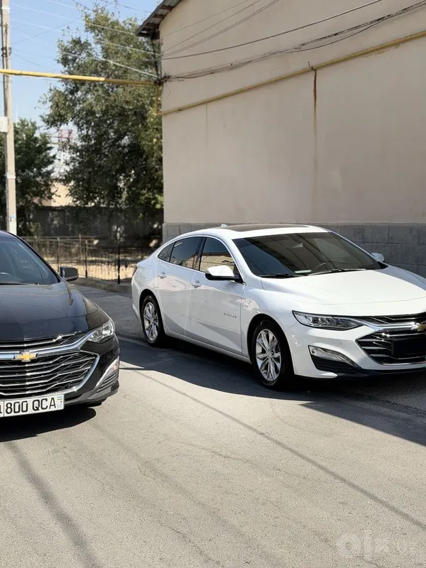 Malibu Premer 2022 yil 6 Malibu Premer 2022 yil 6