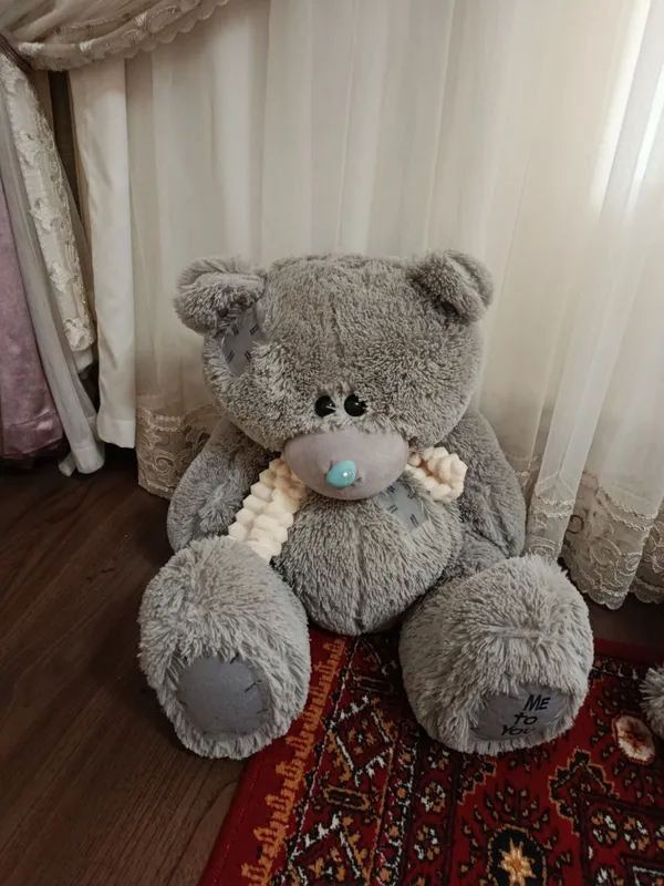 Teddy sovĝa uchun teddy 1 Teddy sovĝa uchun teddy 1