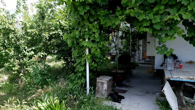 Продаю дачный участок недалеко от парка Янги Узбекистан — фото 3