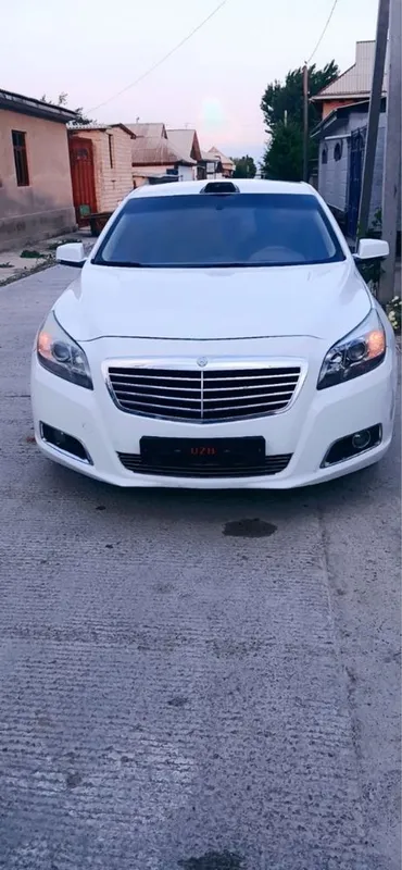 Malibu 1 sotiladi