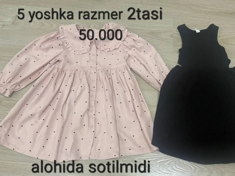 koylak koylak