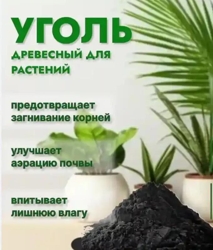 Гуллар учун Древесный угол — фото 2