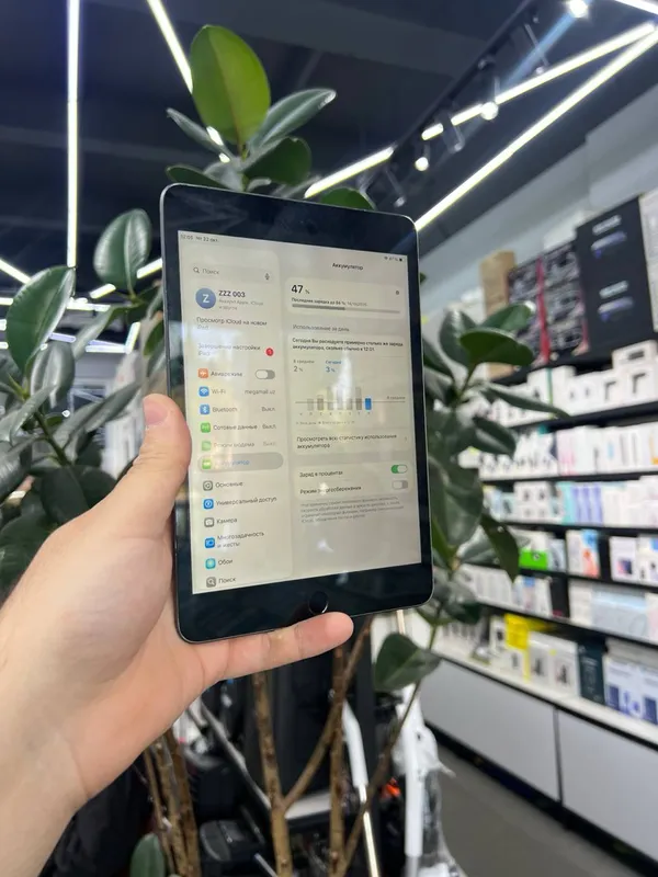 iPad mini 5 6