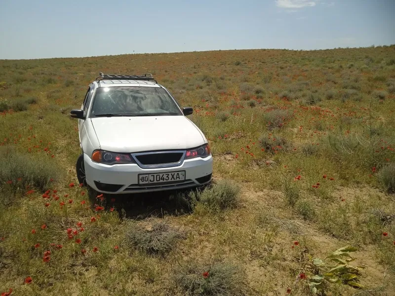 Nexia 1 xolati zoʻr 1