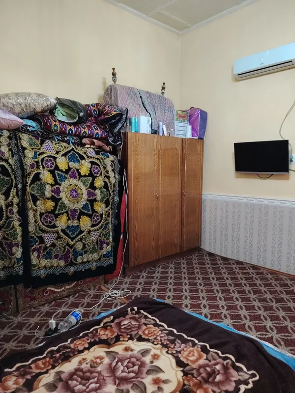 Talabga javob beradi holati judaym ZUR. — фото 5