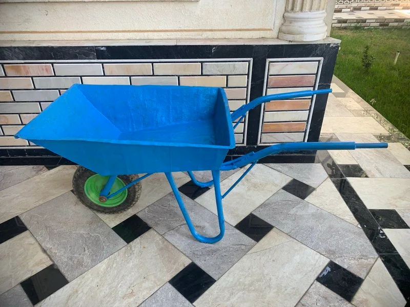 Kauchok balonli arava