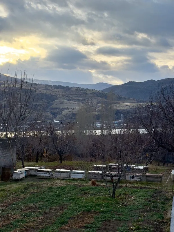 Продается дачный участок Ходжикент