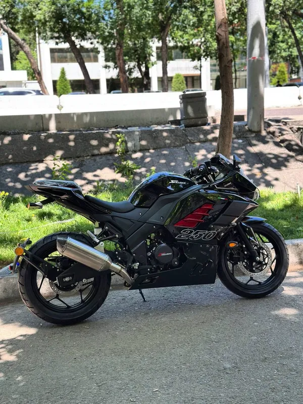 Новый мотоцикл skilmaks 250cc скидка до 30 05 26 — фото 1 Новый мотоцикл skilmaks 250cc скидка до 30 05 26 — фото 1