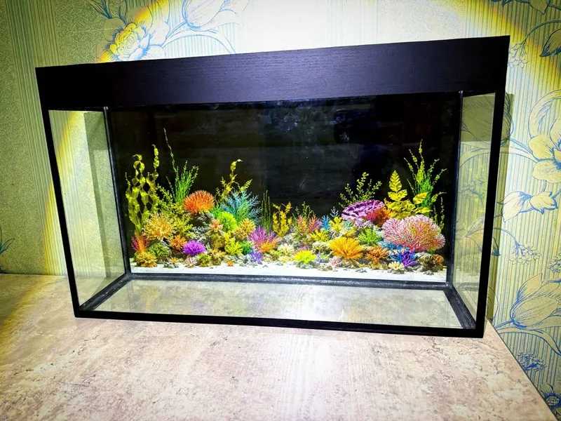 Akvarium sotiladi | 58,5×37×16 sm 2 Akvarium sotiladi | 58,5×37×16 sm 2