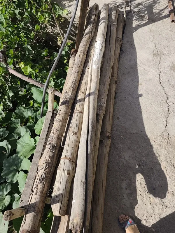Qalam, bolor va chorniy potolok sotiladi