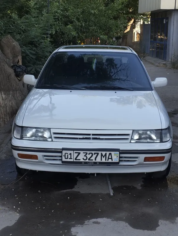 Таета Карина 2 92г