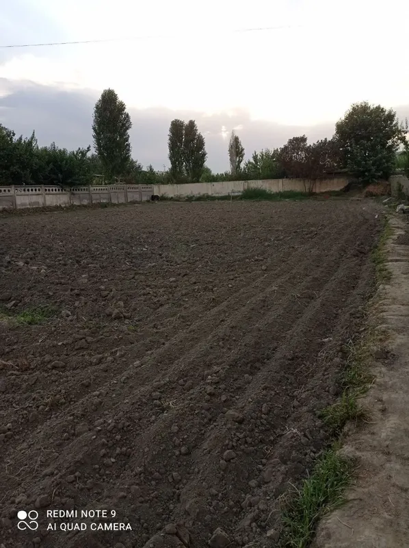 Qalqon markazidan 36 sotix turar joy sotiladi — фото 3