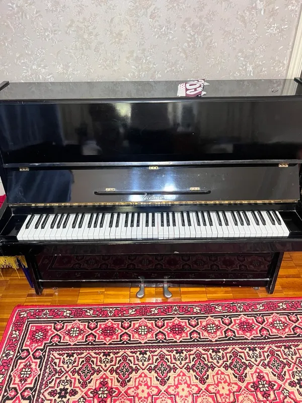 Pianino  Ласточка sotiladi holati a’lo .