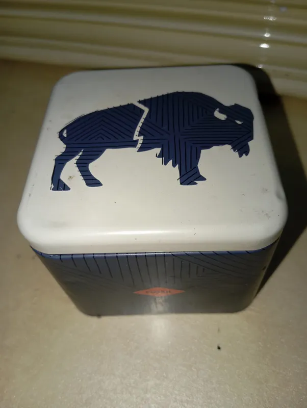 Часы Fossil 1